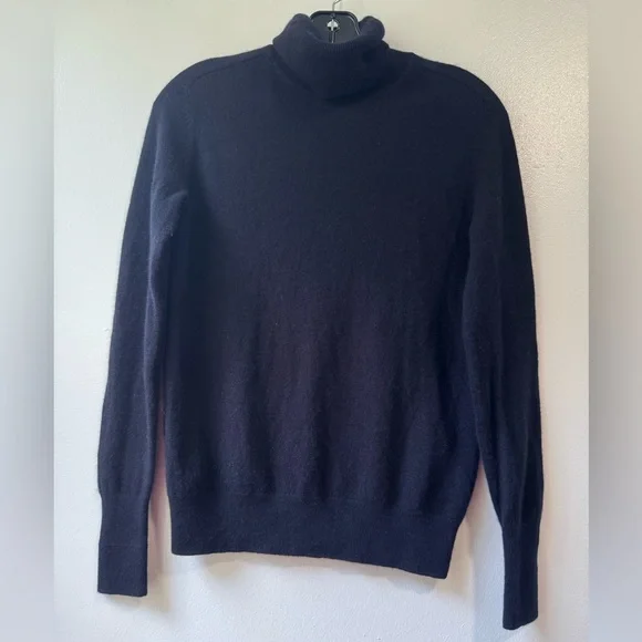 Everlane Cashmere Blue Turtleneck Sweater